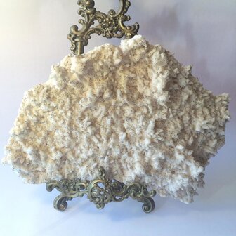 Calciet met Pyriet goud