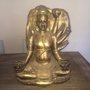Boeddha-met-aureool